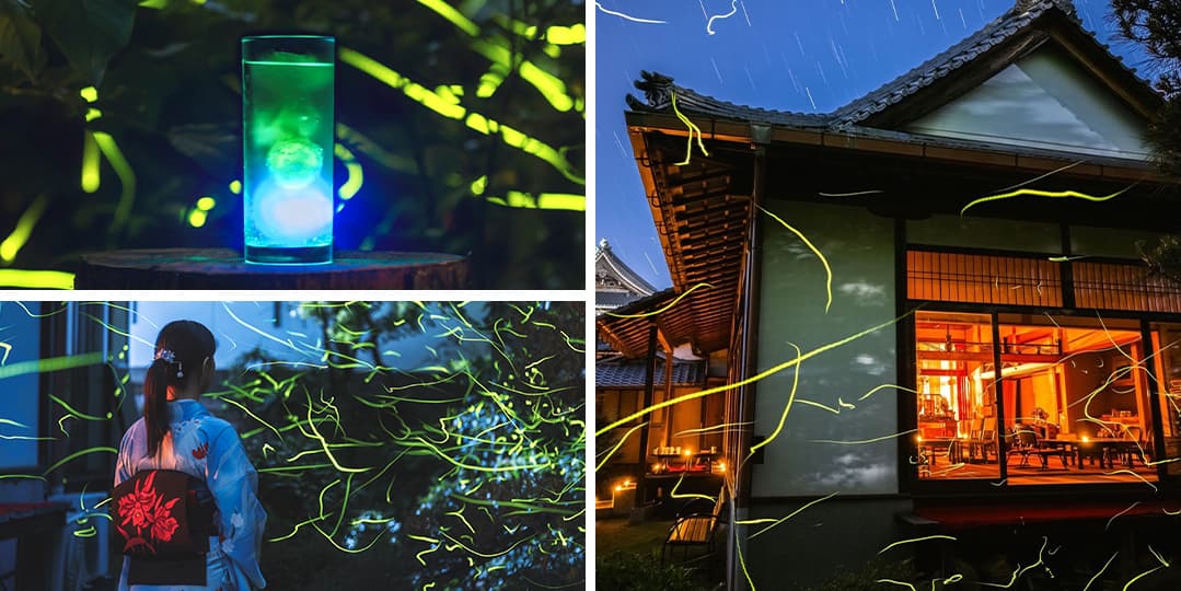 金光院の蛍 初夏の風物詩 - 蛍の光が彩る幻想的な庭