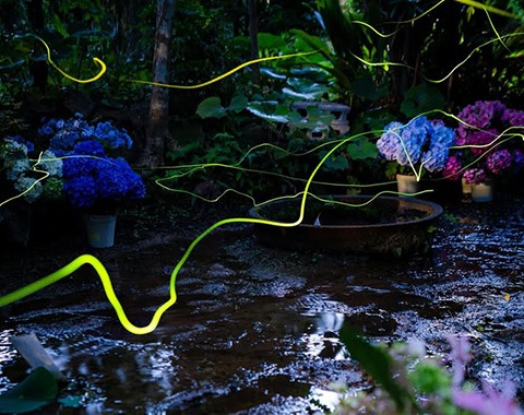 開かれたお寺『ほたる寺』を目指すきっかけ