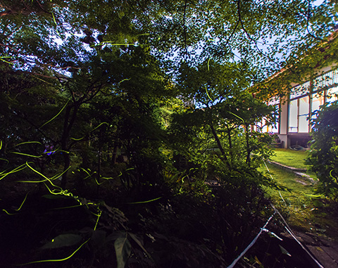 開かれたお寺『ほたる寺』を目指すきっかけ