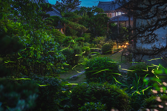 四季折々の自然と、幻想的な蛍の舞