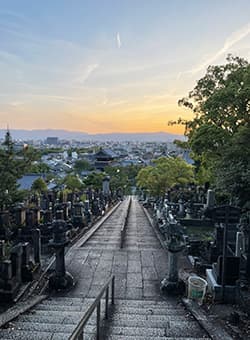 周辺情報