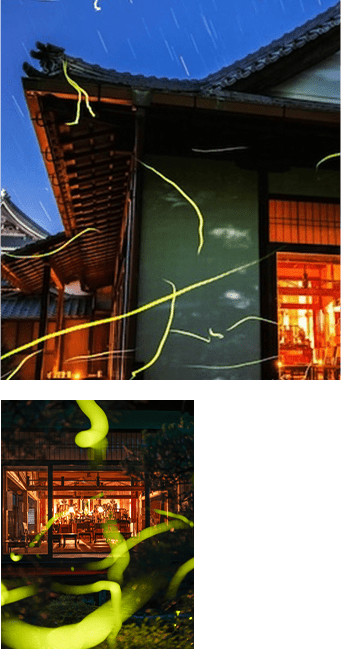 京都の夜に広がる幻想的な光景「ほたる寺」金光院