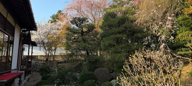 お寺空間利用について