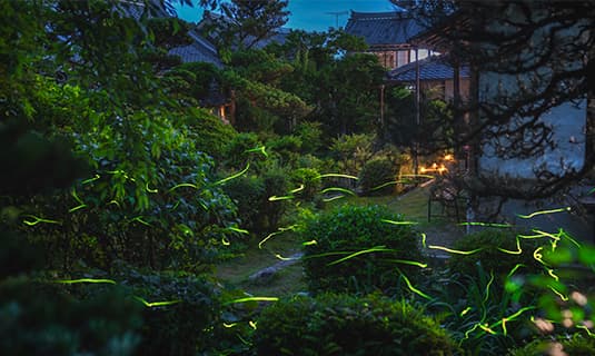 宿坊部屋の特別貸切について